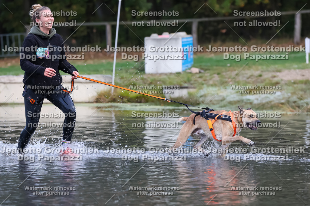 Dog Paparazzi - Strongdog 10-25-6316 | Dog Paparazzi Jeanette Grottendiek Fotografie & Videografie - Realisiert mit Pictrs.com