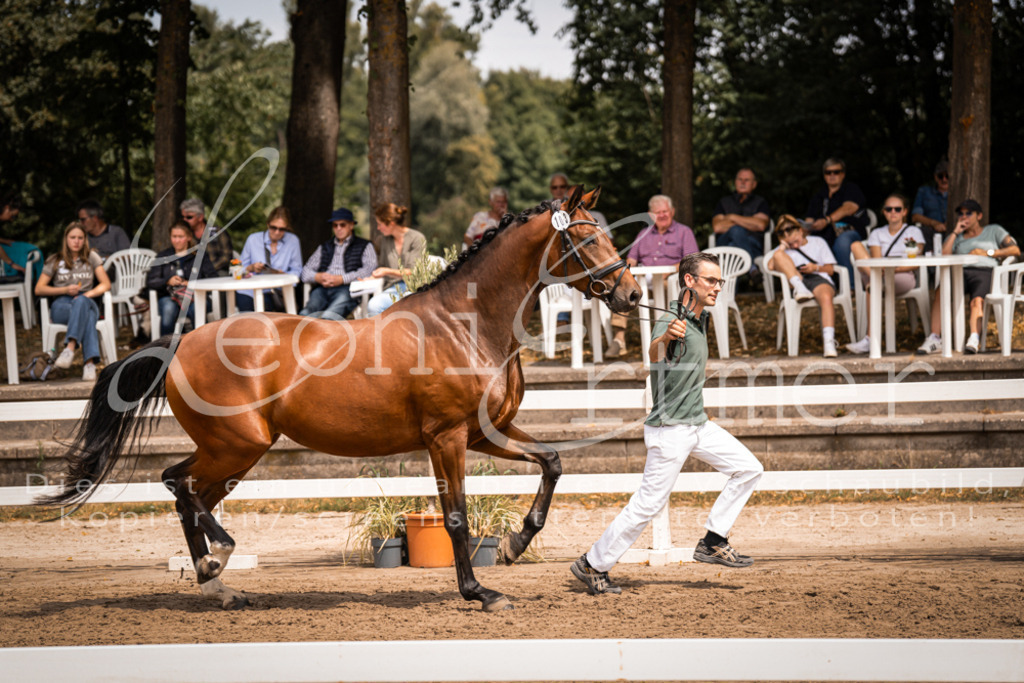 2. Fr00059 | Leoni Ertmer Photography - Realisiert mit Pictrs.com