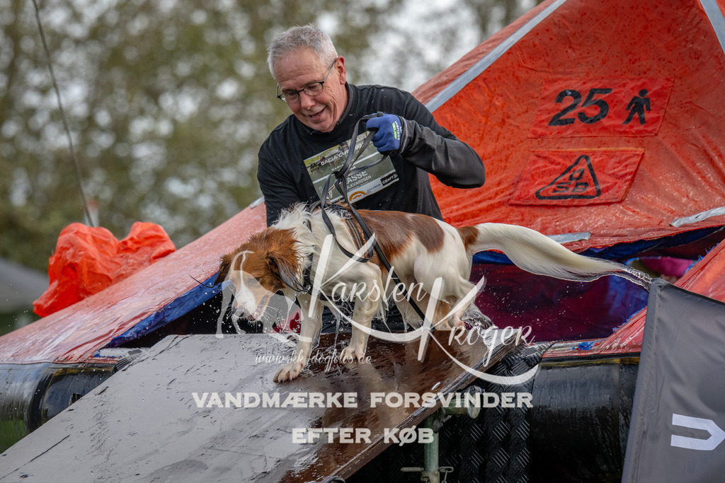 1217-93189 | kk-dogfotos