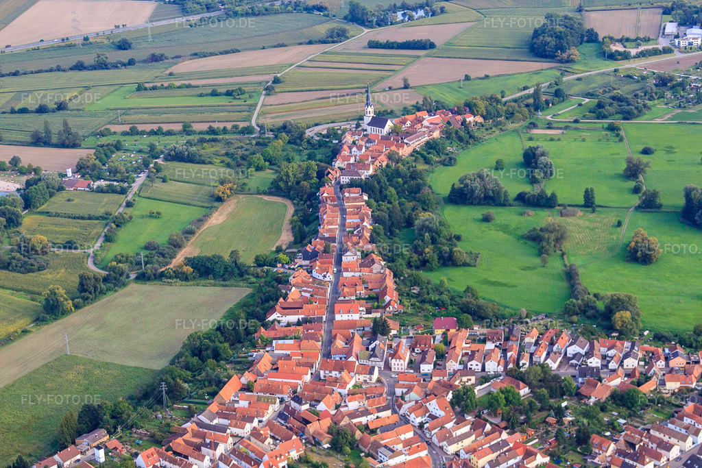 Luftbild: Hinterstädel von Norden in Jockgrim im Bundesland Rheinland-Pfalz in Deutschland. Foto: IMG_44934.jpg vom 03.09.2011 durch Werner Riehm/FLY-FOTO.de