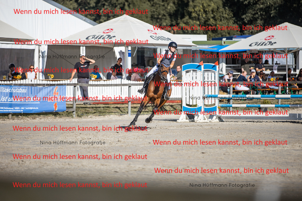 BK1A7390 | Turnierbilder Turnierfotos Nina Hüffmann Turnierfotografie Pferdefotografie Tierzeichnung Haustierzeichnung Pferdezeichnung Hundezeichnung Videograf  - Realisiert mit Pictrs.com