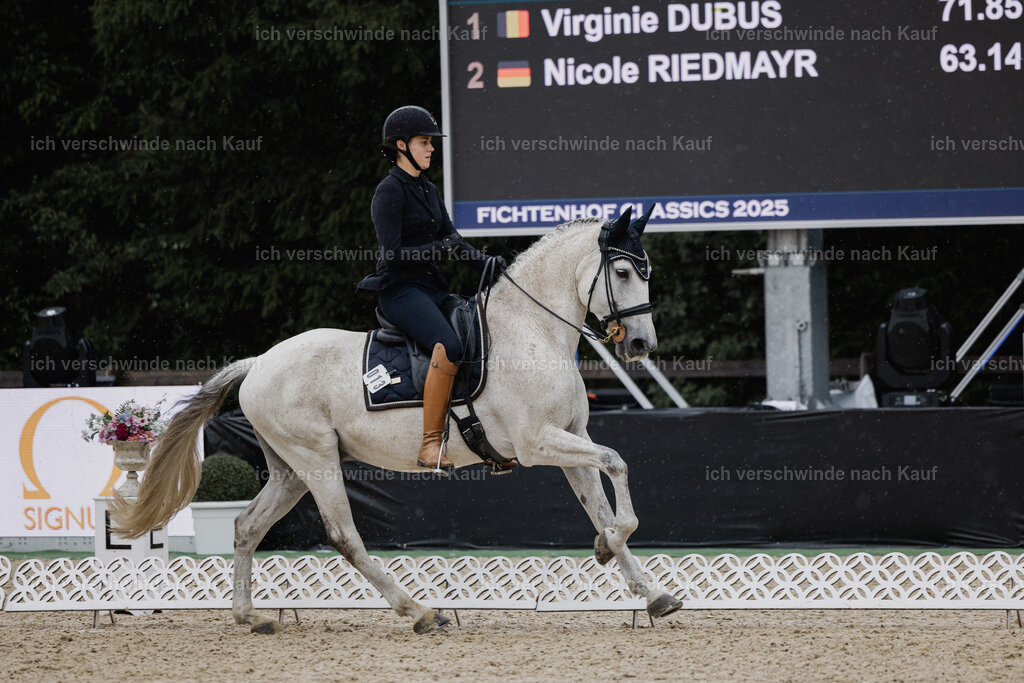 Svea13FHC2025-24653 | working equitationturnier fotograf videograf stoibphotography marixx film working equitation deutschland reitsport turnierfotografie eventfotografie equestrian events