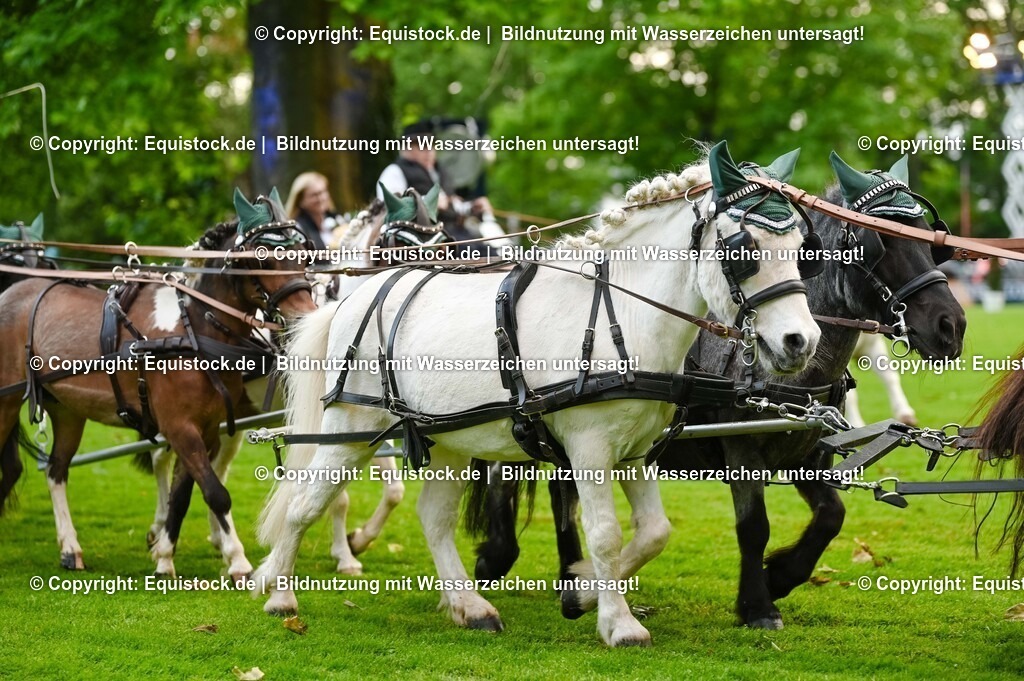 20250606_Lange-Pferdenacht_0226 | Foto: Thomas Hartig