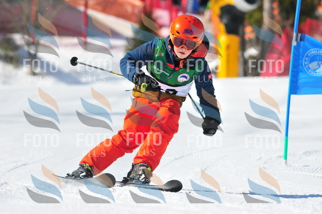 C2828 | holidayphoto