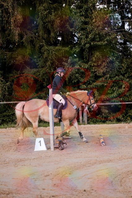 2026_10_03_Siefer-Hof_145226_Z81_31285205 | Professionelle Reitsport-, Turnier- und Eventfotografie von Robert Broda. Galerien mit ausgewählten und bearbeiteten Bildern direkt online ansehen und bestellen.