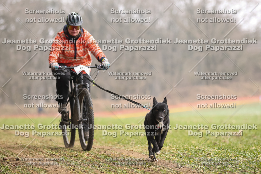 Dog Paparazzi - Plate 2026-129 | Dog Paparazzi Jeanette Grottendiek Fotografie & Videografie - Realisiert mit Pictrs.com