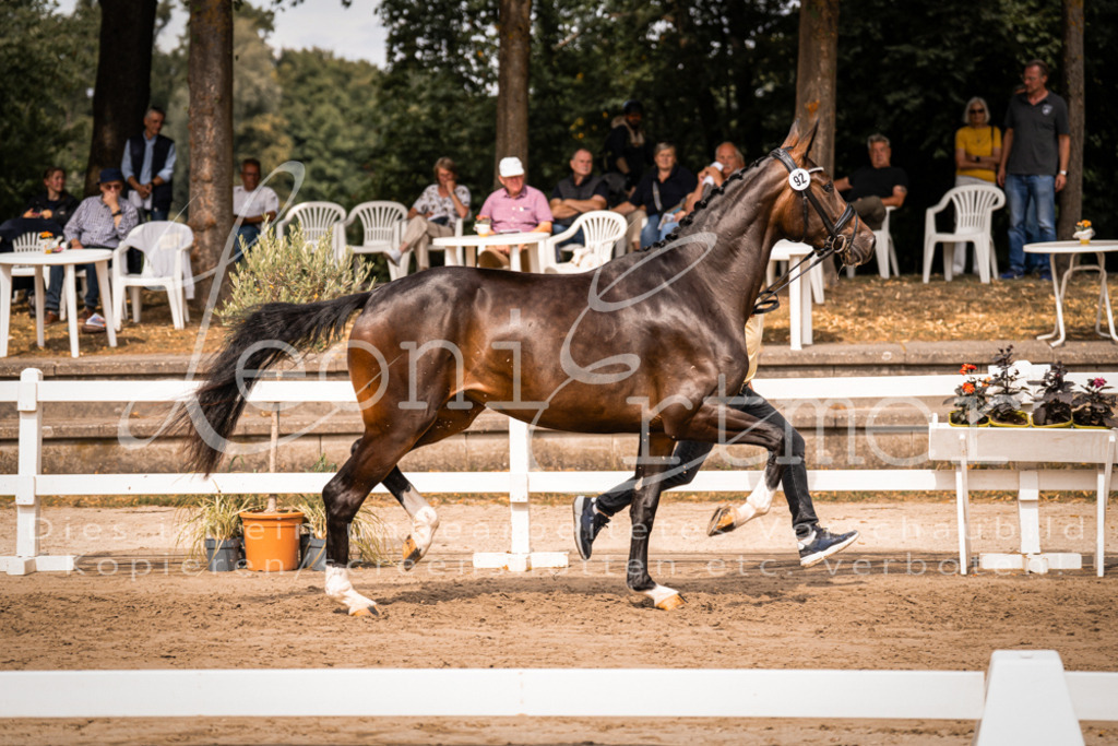 6.Fr00027 | Leoni Ertmer Photography - Realisiert mit Pictrs.com