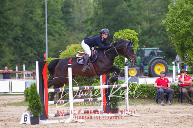 DKP41996 | Turniersportfotografie; Pferdefotografie; Dressurfotografie