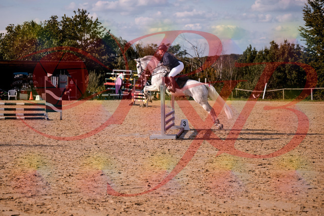 2026_10_03_Siefer-Hof_153935_Z81_54779543 | Professionelle Reitsport-, Turnier- und Eventfotografie von Robert Broda. Galerien mit ausgewählten und bearbeiteten Bildern direkt online ansehen und bestellen.