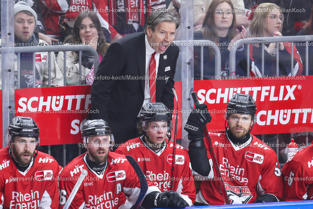 KoeDEL14032401036 | 14.03.2024, Köln, Eishockey, Penny DEL, Pre-Playoffs Spieltag 3, Lanxess-Arena, Kölner Haie - ERC Ingolstadt: Headcoach Trainer Uwe Krupp (Kölner Haie) steht enttäuscht gestikulierend rufend am Spielfeldrand