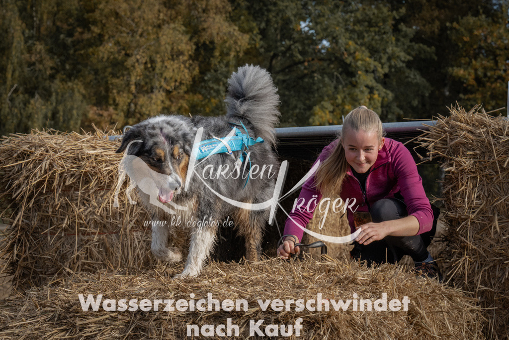 1043_ZZ99134 | kk-dogfotos