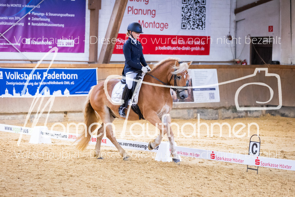 Sth-A-Dre-2St-026 | MomenTaufnahmen Pferdesportfotos