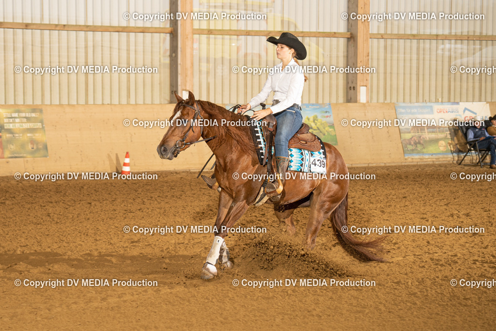 LAU00319 | dv-media-shop - Realisiert mit Pictrs.com