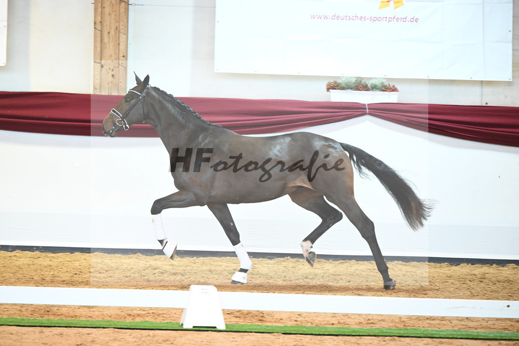 Kat-Nr. 16 v. De Beau_Schult_66220227 | hf-fotografie - Realisiert mit Pictrs.com