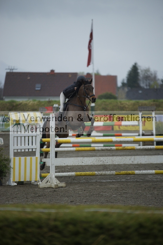 _DSC6170 | equestrian-live-com