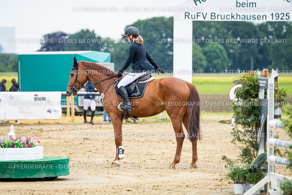 DSC06230 | Pferdegrafie