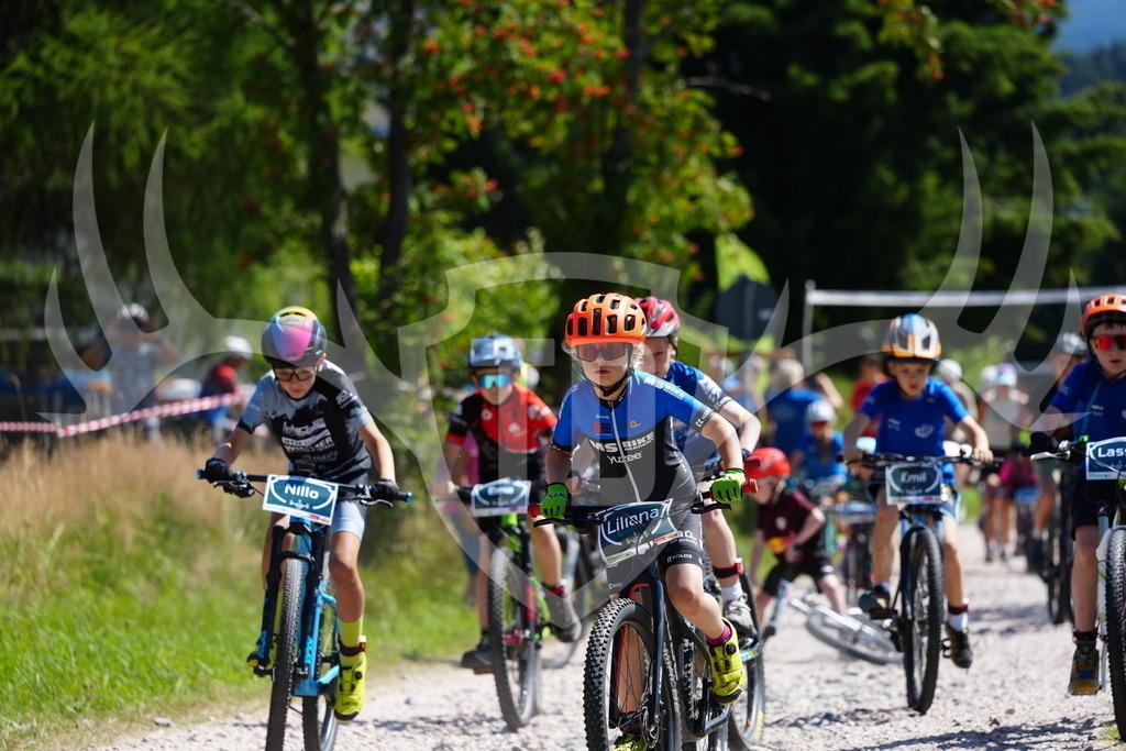 FC101257 | Fotogalerie der Treibjagd im Dunkelwald - Dein MTB Etappenrennen im Erzgebirge - Realisiert mit Pictrs.com