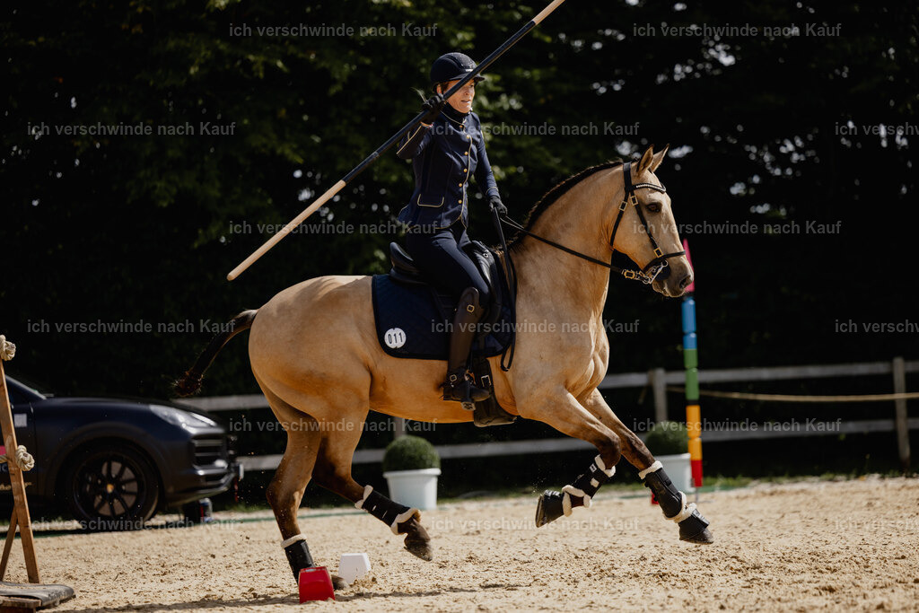Diana11_FHC2025-20577 | working equitationturnier fotograf videograf stoibphotography marixx film working equitation deutschland reitsport turnierfotografie eventfotografie equestrian events