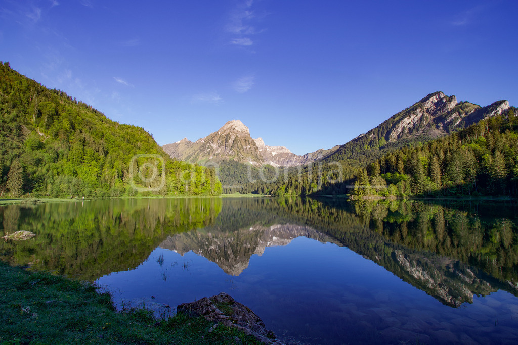 A.Trupina-246 | antonija-trupina - Realisiert mit Pictrs.com