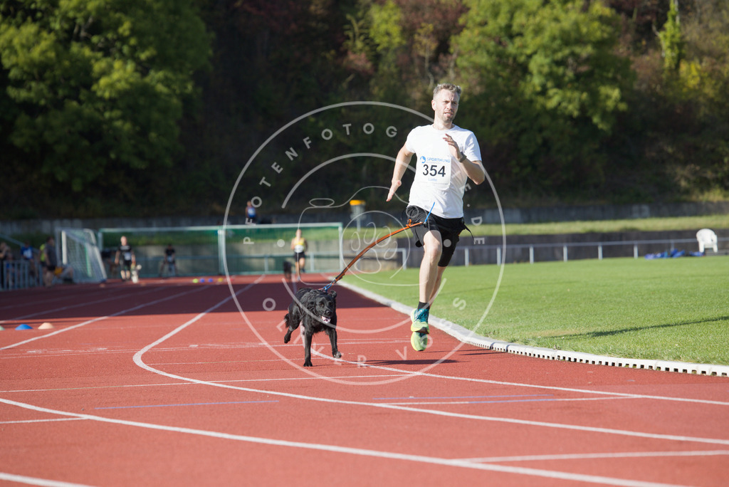 0L8A9963 | Hundefotografie, Tierfotograf, Pfotenfotografie, Fotoshooting Hund, Hunde Portrait, Hundesport, Hundeportraits, Heideshooting, Hunde, Sportfotograf, Hundefotograf, Turnierhundsport, THS,  - Realisiert mit Pictrs.com