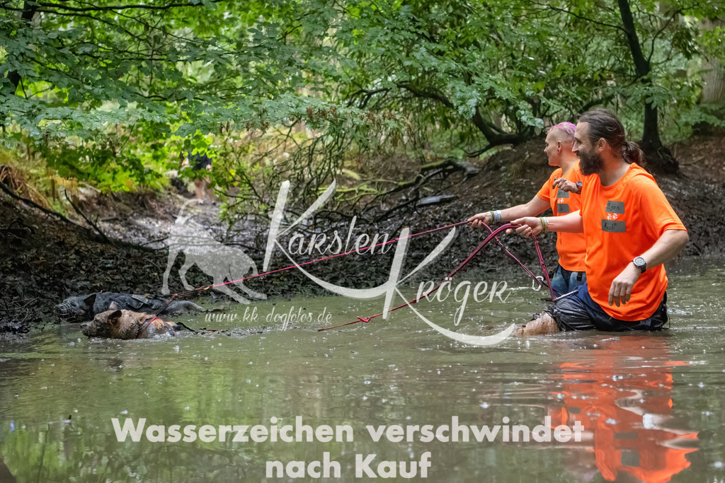 1359_ZZ90721-Bearbeitet | kk-dogfotos