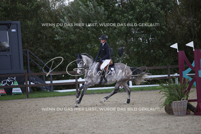 1J2A5033Pheline Ahlmann_ Mirella 26_ Kn735_ Havekost | Foto- und Videografie für alles rund ums Pferd. Hochwertige Bilder und Videos vom Spring- und Dressurreiten, Voltigieren & mehr. Jetzt aktuelle Veranstaltungen und Preise im Shop ansehen. - Realisiert mit Pictrs.com