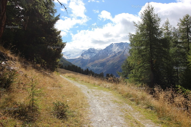 IMG_3556 | Raphael - Realisiert mit Pictrs.com