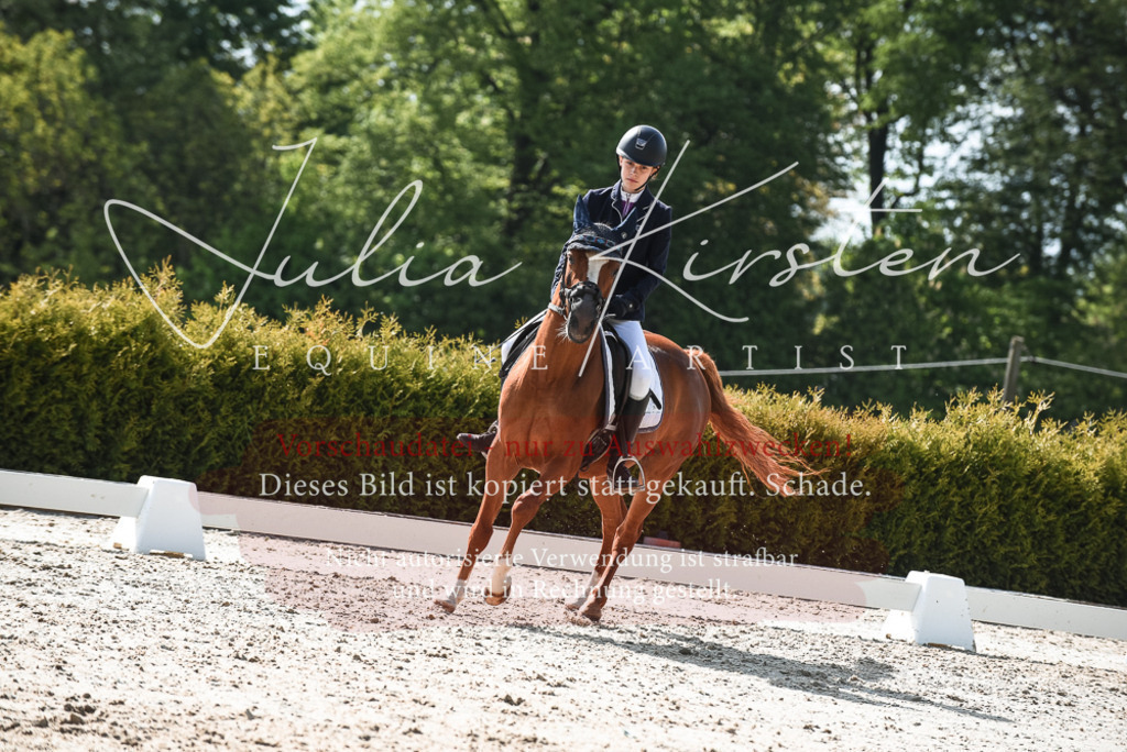 20230518_JK-Röhrsdorf-09-1499 | Pferde- und Turnierfotografie in Westsachsen. Pferdeportraits, Auftragszeichnungen und intuitive Kunst.