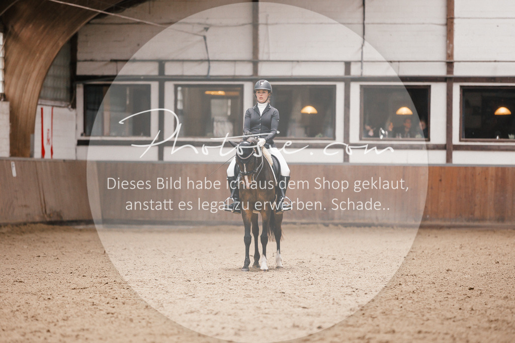 3I6A9004 | Stimmungsvolle Portraits und Reitsportfotografie im Ruhrgebiet und im Münsterland.

Pferdefotografie, Hundefotografie, Tierfotografie, Reportagen, Portraits von Tier und Mensch, Turnierfotografie in Bochum, Recklinghausen, Marl, Haltern am See, Dülmen.. - Realisiert mit Pictrs.com