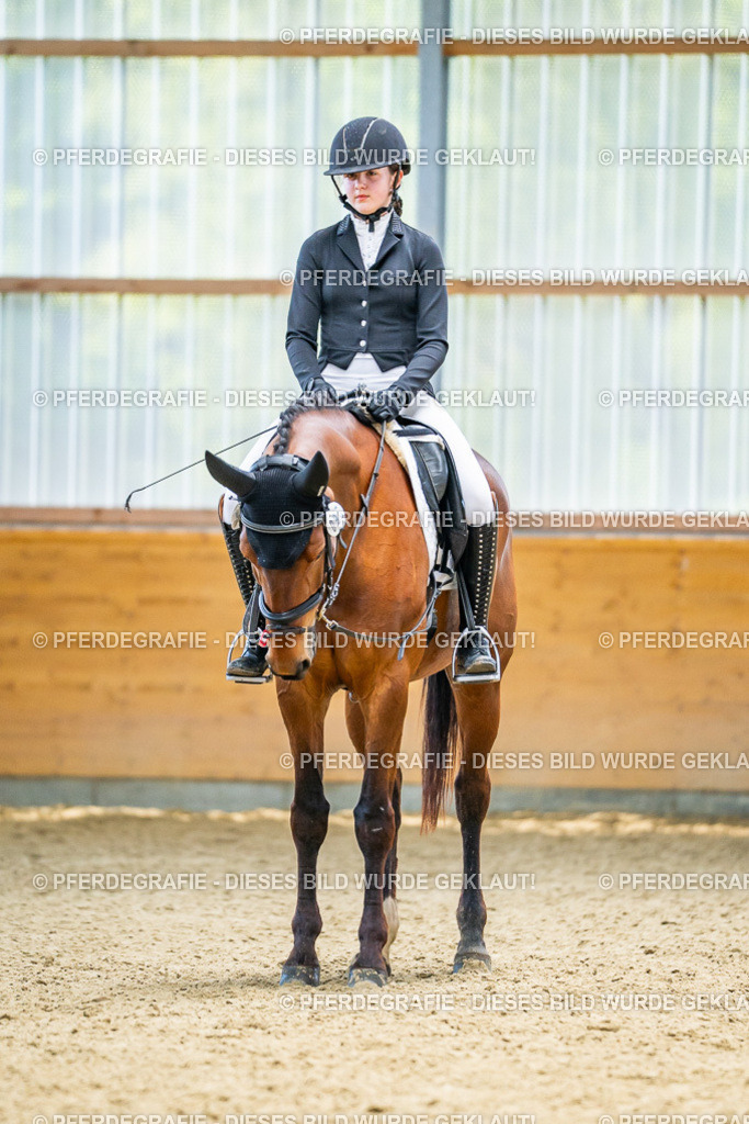 DSC04348 | Pferdegrafie