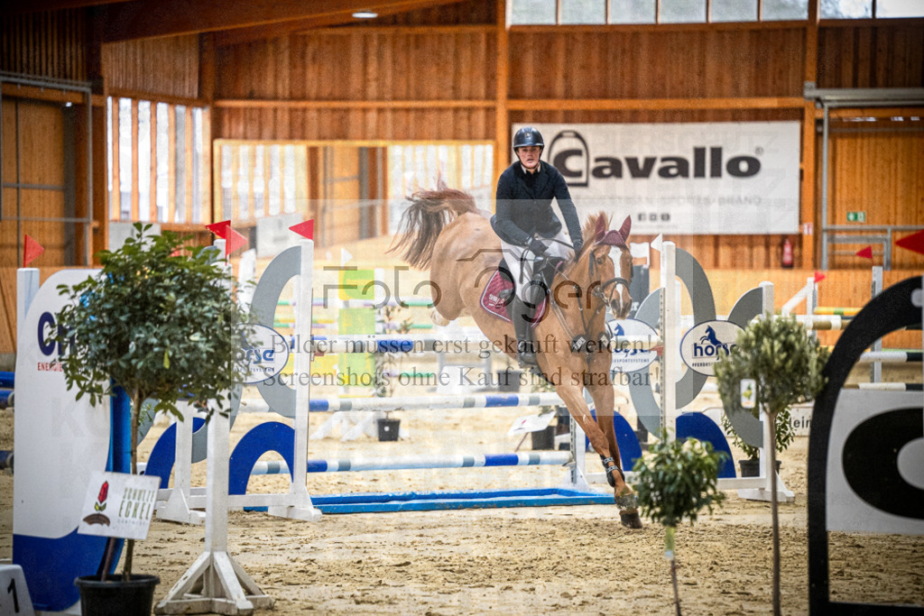 DOS_0770 | Entdecke hochwertige Reitturnierfotos von Foto Oger. Professionell, emotional und authentisch – jetzt Lieblingsmomente im Shop bestellen.Deutschlandweite Turnierfotografie. - Realisiert mit Pictrs.com