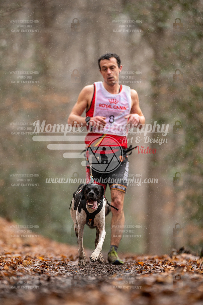 SPA_2023_DIM_CCL-40 | PayLife