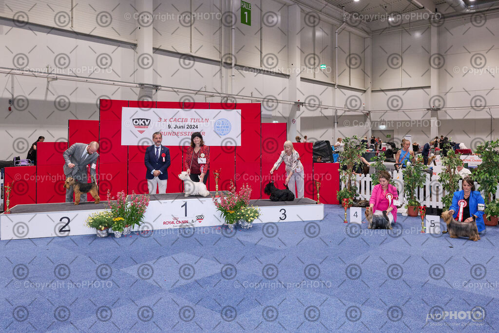 202406_ÖKV-IHA-Tulln24_NZ9_9509 | proPHOTO - Realisiert mit Pictrs.com