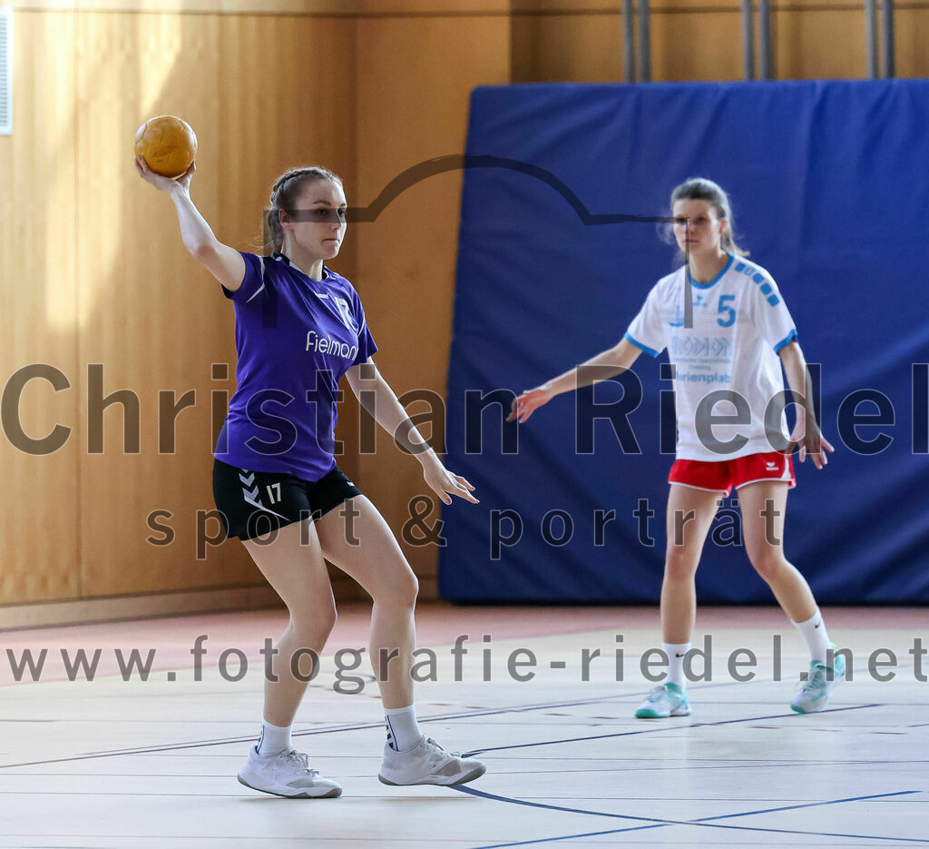 2023-03-18_020_SpVgg_Altenerding_II_gegen_HSG_Freising-Neufahrn_II | Erding, Deutschland, 18.03.2023:
Handball, Bezirksliga Frauen Altbayern 2022 / 2023, 14. Spieltag, SpVgg Altenerding II gegen HSG Freising-Neufahrn II, Endergebnis: 25:27

Thea-Sophie Steinbrecher (SpVgg Altenerding, #17), Carla Bluhme (HSG Freising-Neufahrn, #5)

Foto: Christian Riedel / fotografie-riedel.net