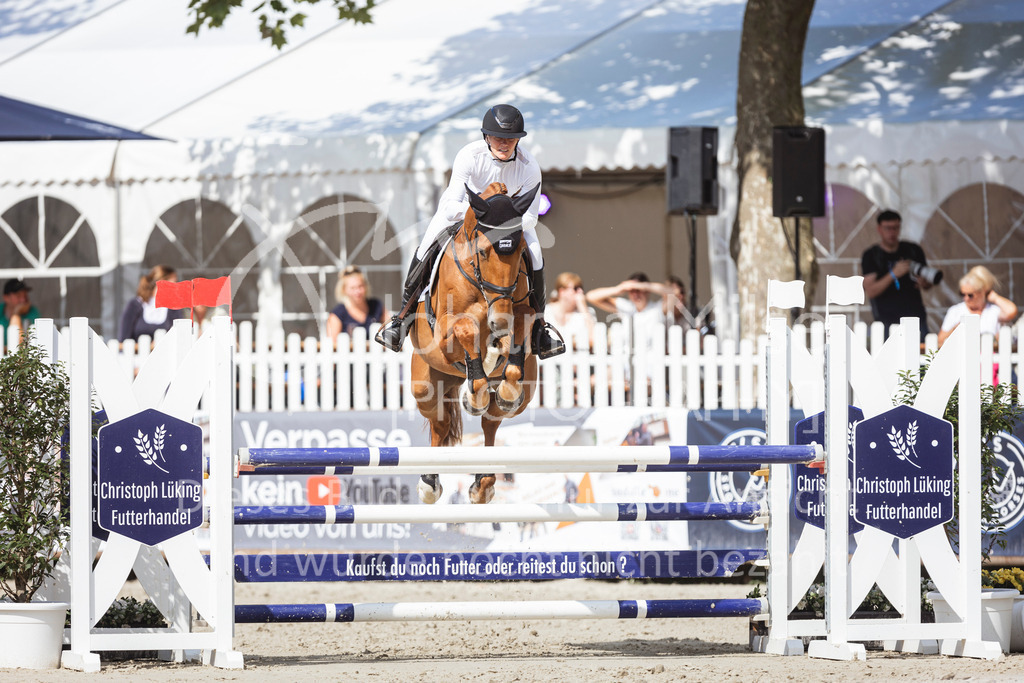 240711_BHO_L-Stil-2-571 | Deine schönsten Turniermomente als professionelle Fotos! Entdecke hochwertige Pferdesport-Fotografie im Online-Shop. Jetzt Fotos finden & bestellen!