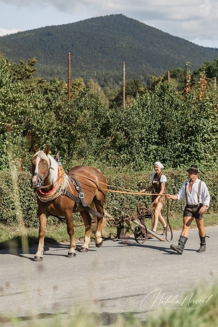 7V6A3038 | natalia-nirschl-photography