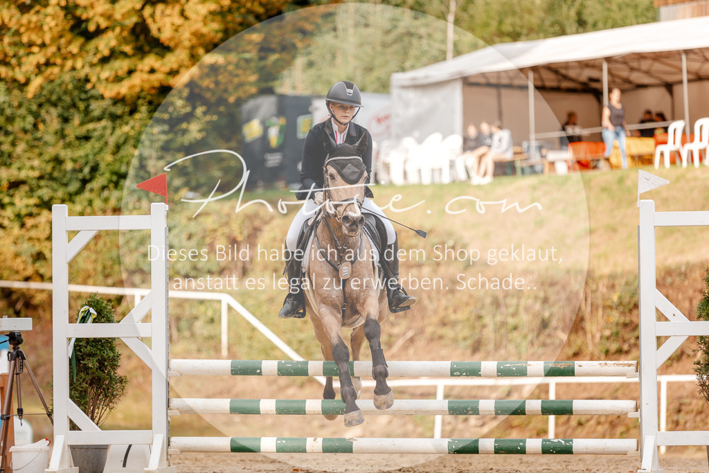 3I6A2715 | Stimmungsvolle Portraits und Reitsportfotografie im Ruhrgebiet und im Münsterland.

Pferdefotografie, Hundefotografie, Tierfotografie, Reportagen, Portraits von Tier und Mensch, Turnierfotografie in Bochum, Recklinghausen, Marl, Haltern am See, Dülmen.. - Realisiert mit Pictrs.com