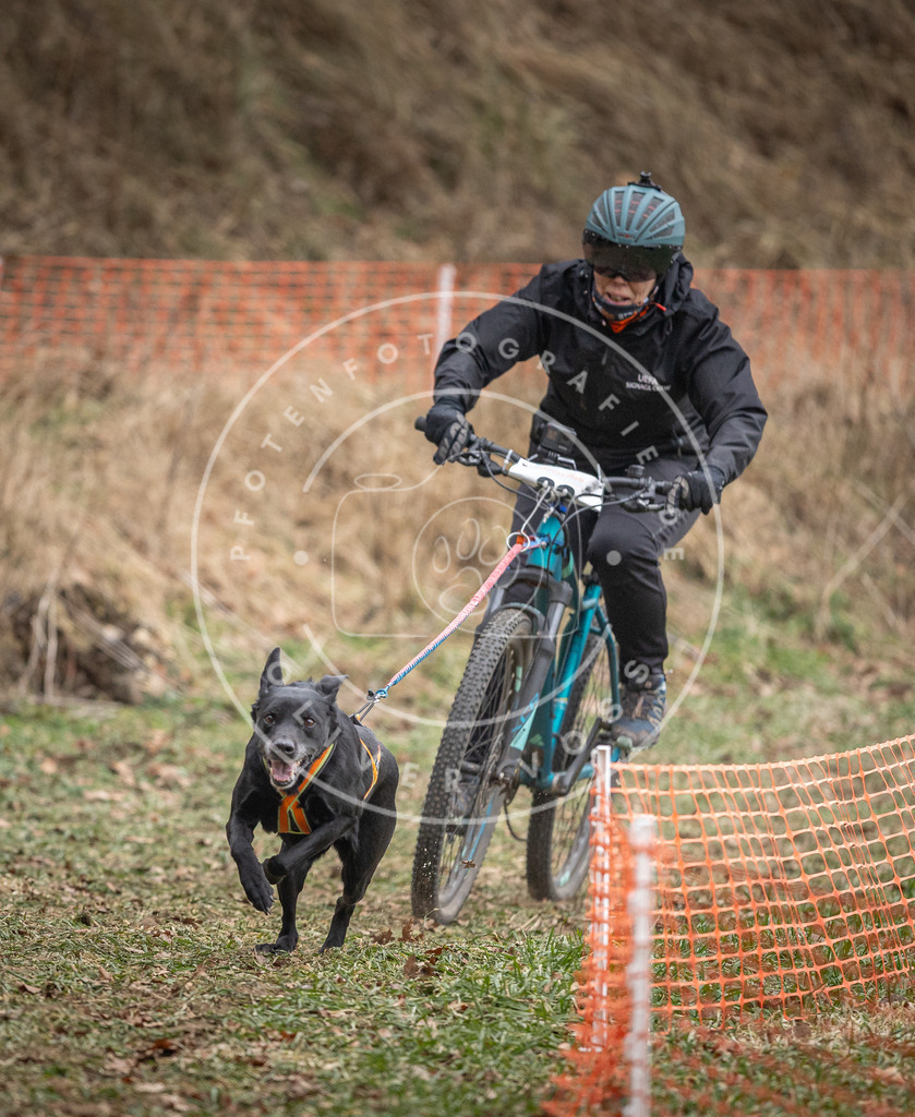 Pfotenfotografie_DV3A5599 | Hundefotografie, Tierfotograf, Pfotenfotografie, Fotoshooting Hund, Hunde Portrait, Hundesport, Hundeportraits, Heideshooting, Hunde, Sportfotograf, Hundefotograf, Turnierhundsport, THS,  - Realisiert mit Pictrs.com