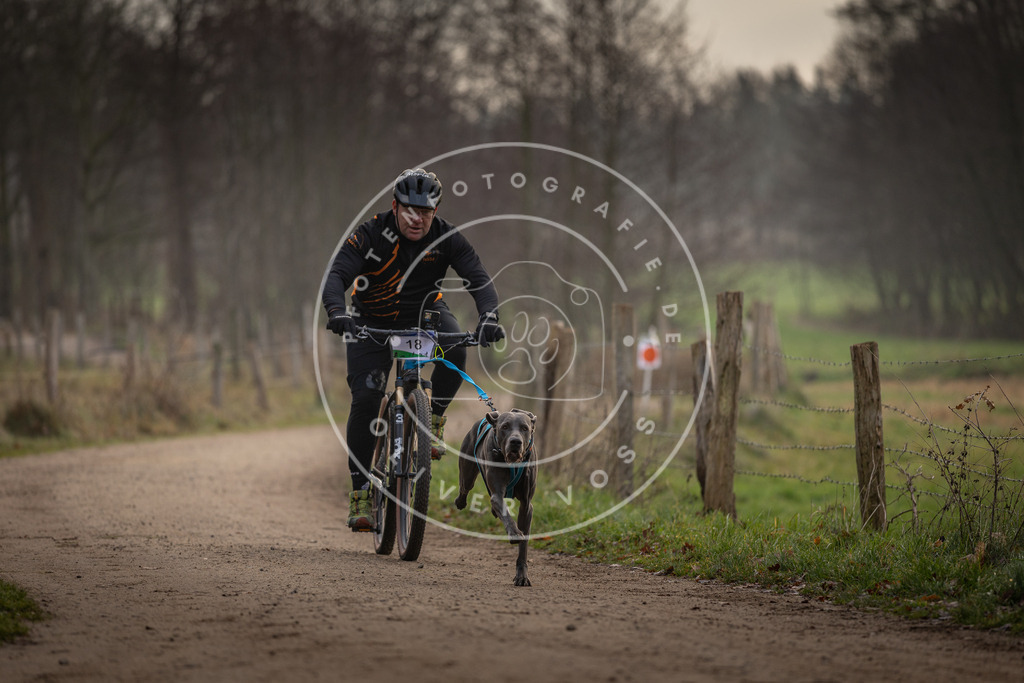 Pfotenfotografie_DV3A1916 | Hundefotografie, Tierfotograf, Pfotenfotografie, Fotoshooting Hund, Hunde Portrait, Hundesport, Hundeportraits, Heideshooting, Hunde, Sportfotograf, Hundefotograf, Turnierhundsport, THS,  - Realisiert mit Pictrs.com