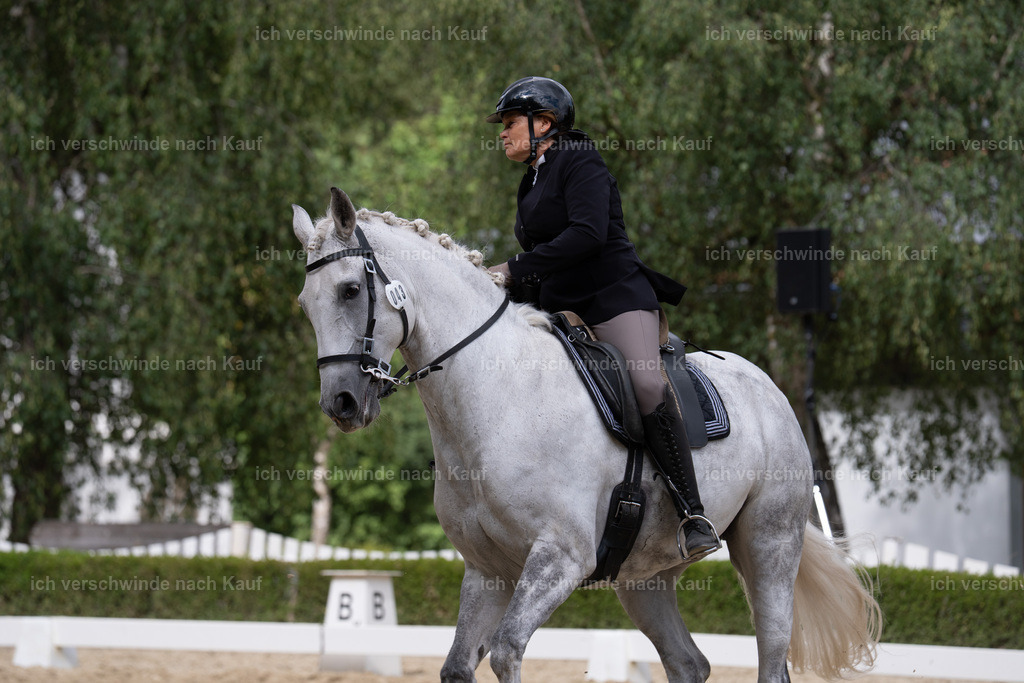 WS_DR_43_sinafilmart_IN01314 | working equitationturnier fotograf videograf stoibphotography marixx film working equitation deutschland reitsport turnierfotografie eventfotografie equestrian events