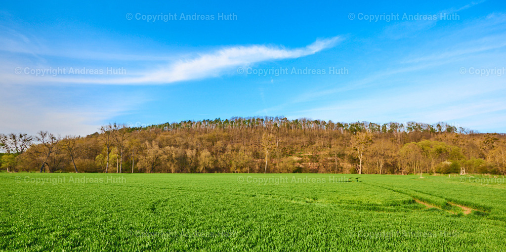 Die Weiße Elster bei Caaschwitz 02 | Bedeutsame Landschaften Deutschlands - Realisiert mit Pictrs.com