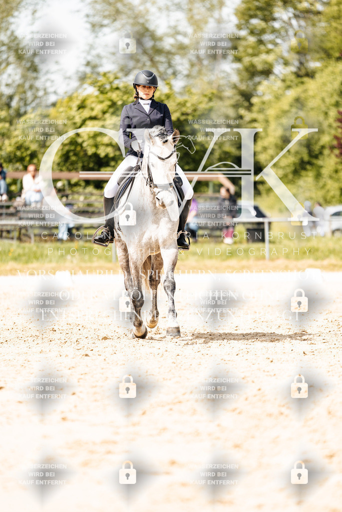 CK901629 | Turnierfotografie Pferdefotografie Trier Rheinland-Pfalz Pferdesport Reitsport Tierfotografie Sportfotografie Pferdevideo Pferdevideografie Equestrianvideography equestrianphotography  - Realisiert mit Pictrs.com