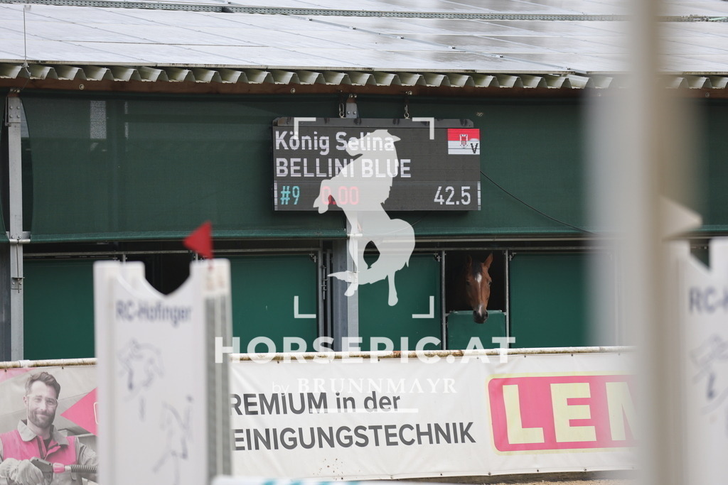 0P6A0858 | Willkommen bei Brunnmayr - Design & Fotografie – Ihrem Spezialisten für Reitturniere und Pferdeveranstaltungen in Oberösterreich, Salzburg und Bayern! Seit über 17 Jahren sind wir leidenschaftlich dabei.
