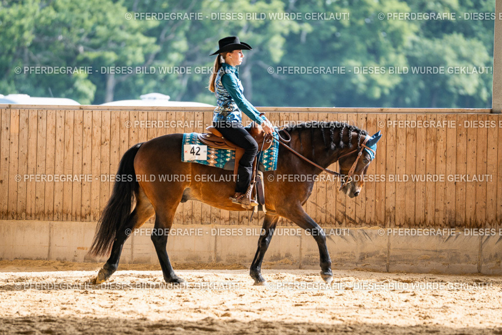 DSC08489 | Pferdegrafie