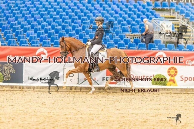 28-8-26 5j DRE-1368 | mandyhollmannphotographie