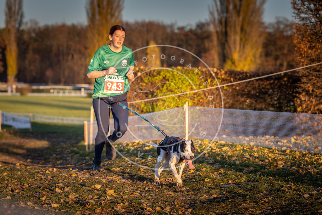 CaniXpix_DV3A5472 | Hundefotografie, Tierfotograf, Pfotenfotografie, Fotoshooting Hund, Hunde Portrait, Hundesport, Hundeportraits, Heideshooting, Hunde, Sportfotograf, Hundefotograf, Turnierhundsport, THS,  - Realisiert mit Pictrs.com