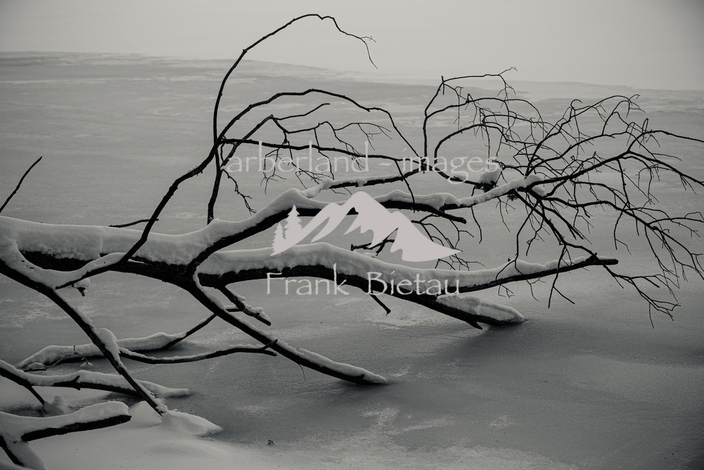 0Z5A7529 | Winter am See