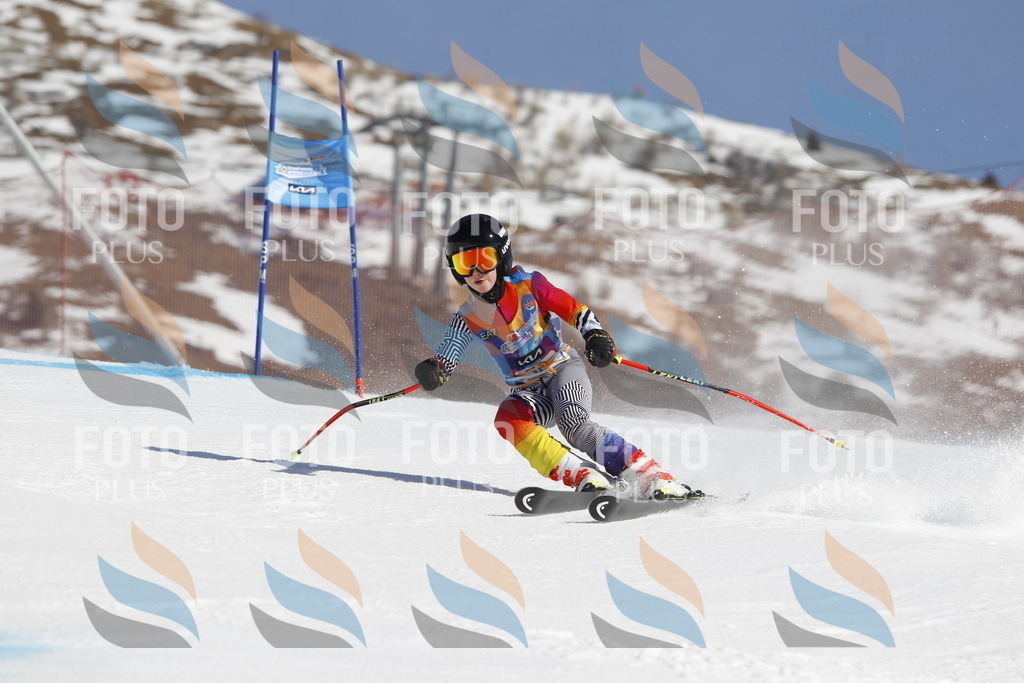 _U3G9151 | holidayphoto