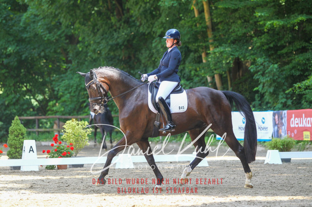 DKP42435 | Turniersportfotografie; Pferdefotografie; Dressurfotografie