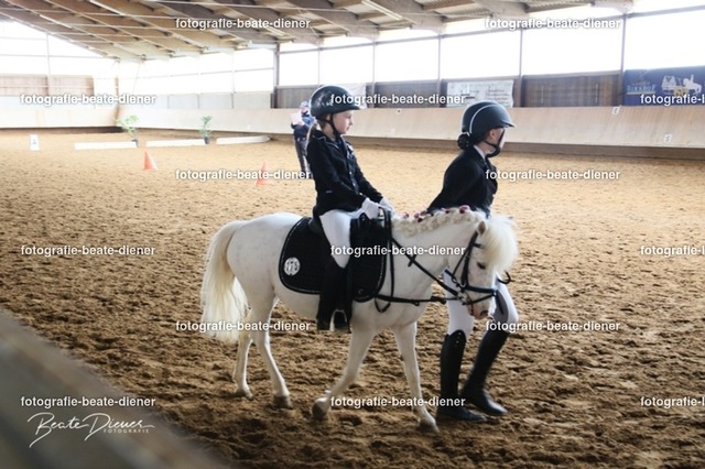 JugendTrophy1081 | Fotografie, Tiere, Hunde, Katzen, Pferde, Sportfotografie, Fotosession, Tierfotografie, Turnierfotografie, Fotografin, Fotograf - Realisiert mit Pictrs.com